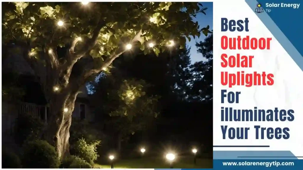 Best Outdoor Solar Uplights For illuminates Your Trees
