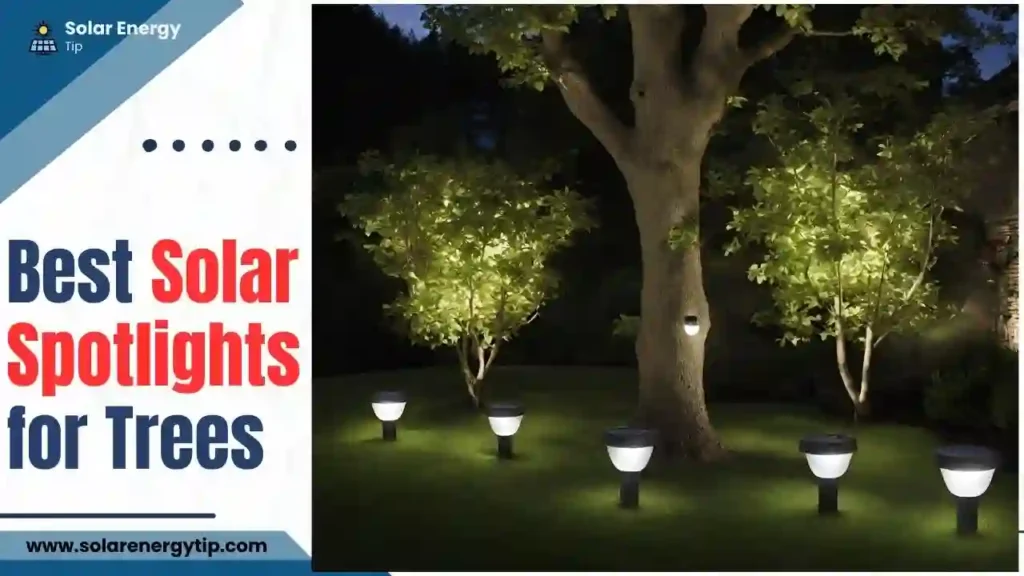 Best Solar Spotlights for Trees