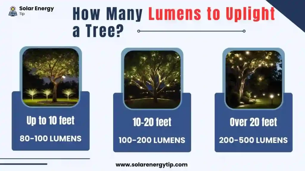 How Many Lumens properly to Uplight a Tree