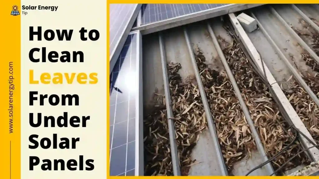 How to Clean Leaves From Under Solar Panels