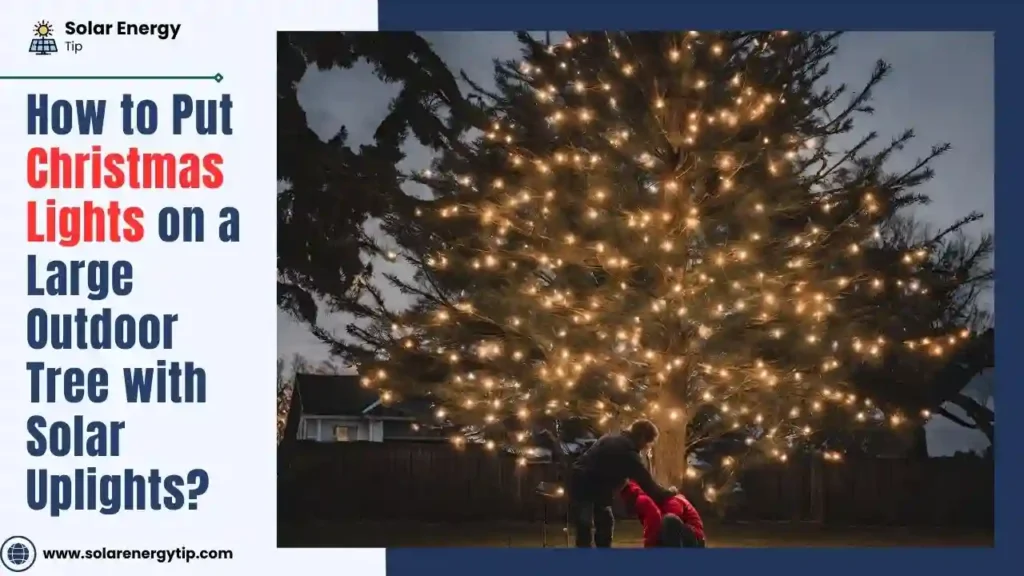 How to Put Christmas Lights on a Large Outdoor Tree with Solar Uplights
