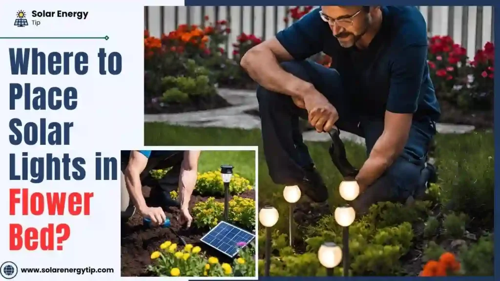 Where to Place Solar Lights in Flower Bed