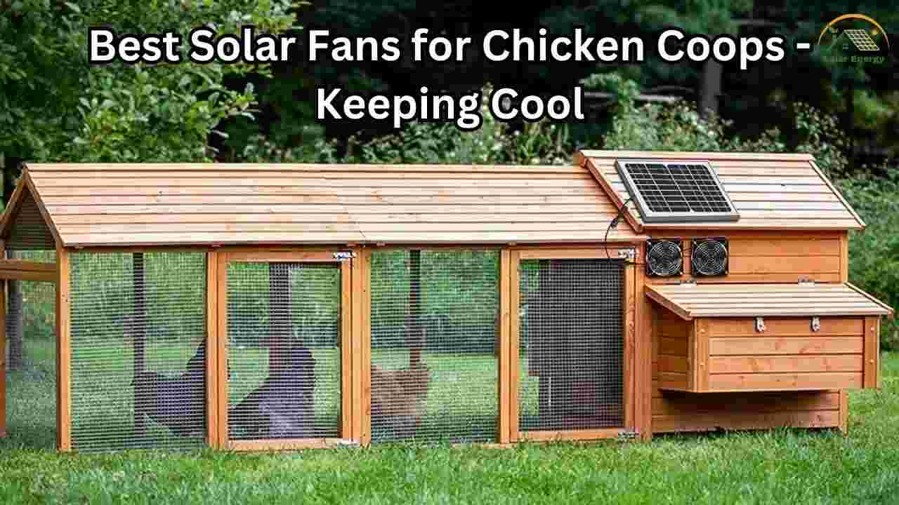 Best Solar Fans for Chicken Coops Keeping Cool