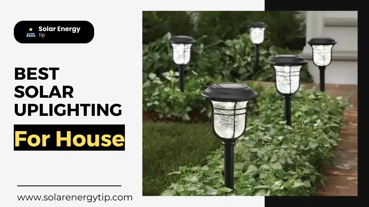 Best Solar Uplighting For House To Decore Home