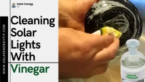 Cleaning Solar Lights With Vinegar