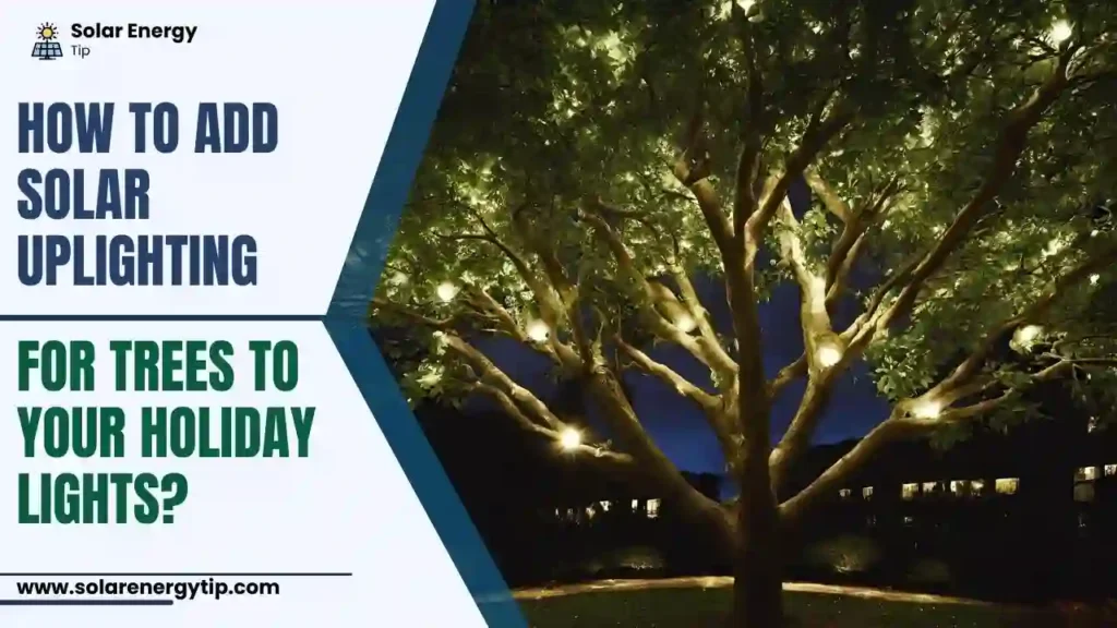 How to Add Solar Uplighting for Trees to Your Holiday Lights