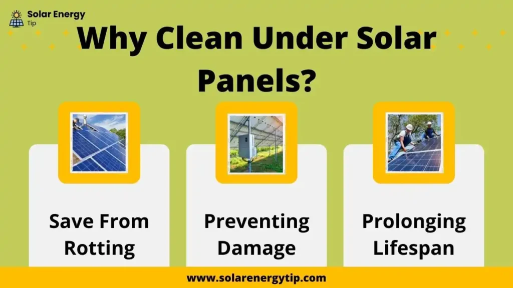 Why Clean Under Solar Panels